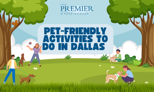 Pet-Friendly Activities Near Premier at Prestonwood  Cover Image