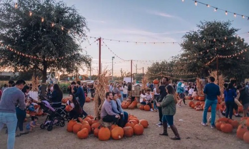 Pumpkin Farm with people