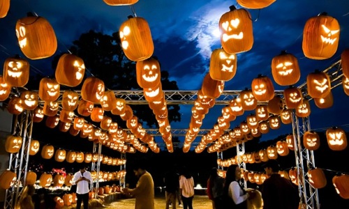Pumpkin Nights at Howell Farms Cover Image